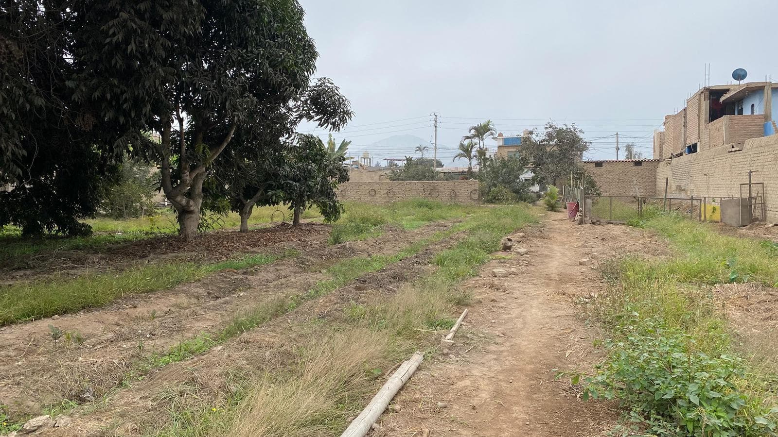 Terreno en Huaral 4700m2 Residencial RDM - 1