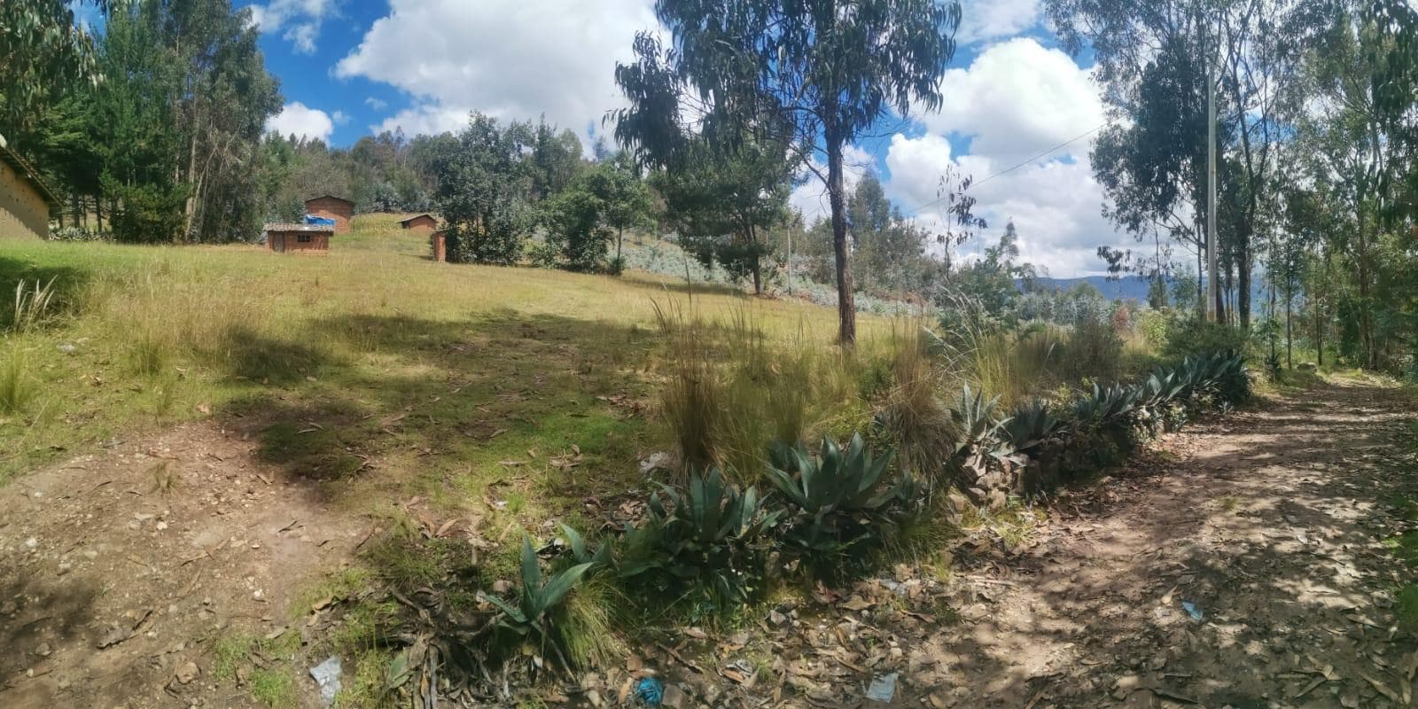 SECTOR PAMPA CHICUANA - LAGUNA DE CHAMIS - 1