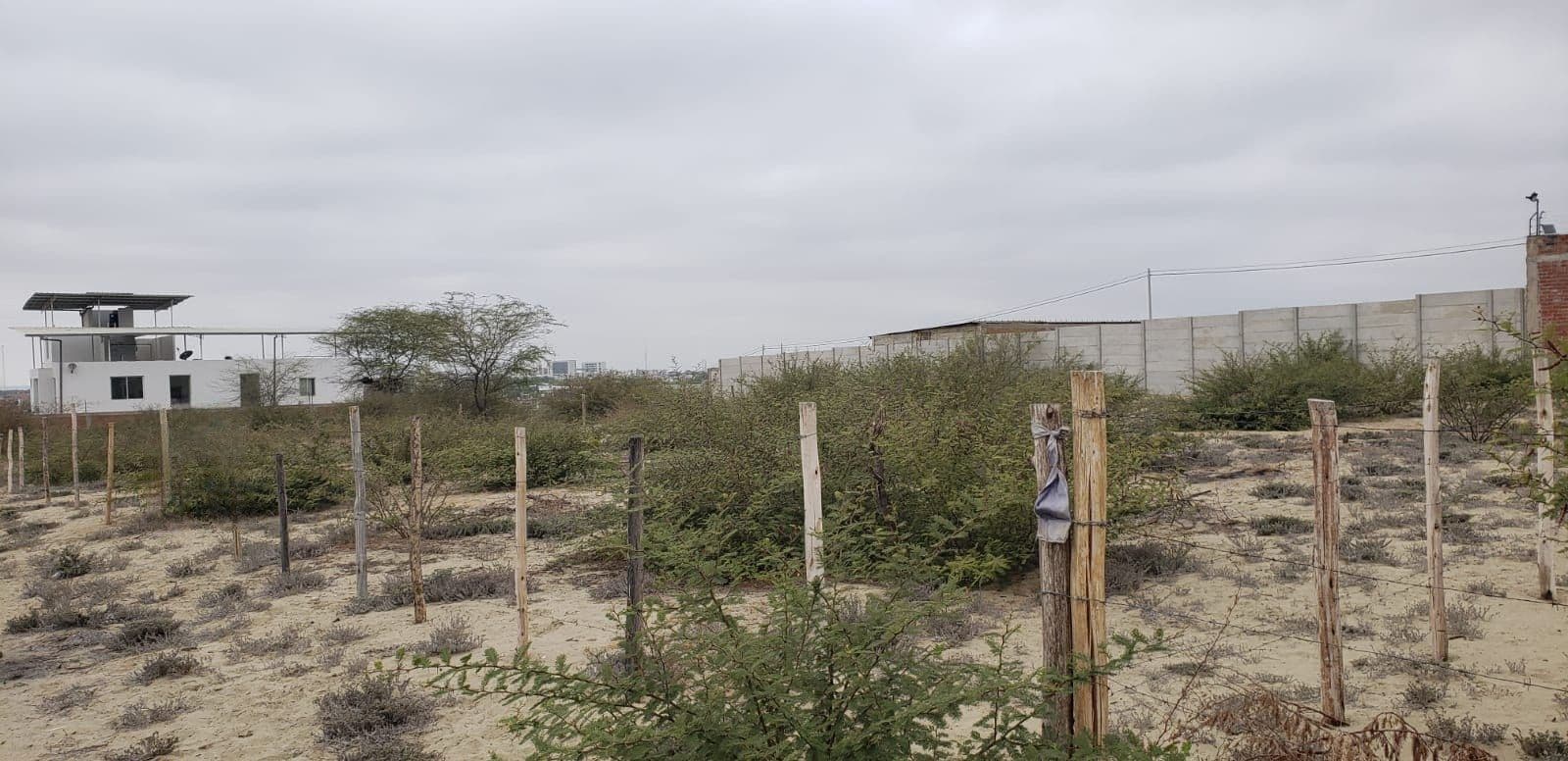 Terreno en venta urbanizado en Piura - 1