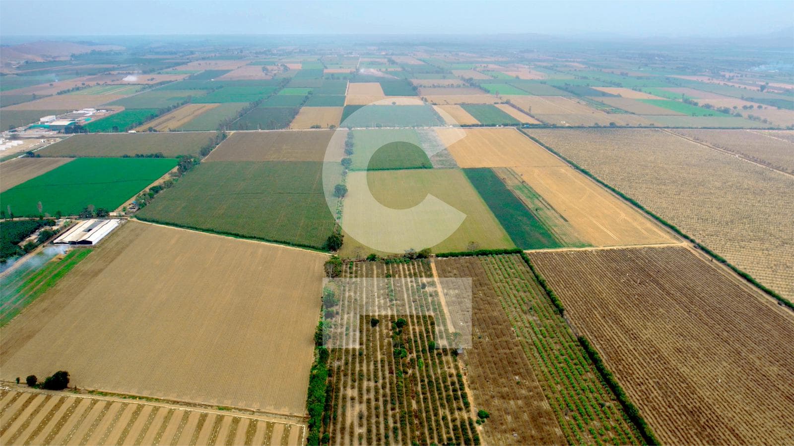 Oportunidad! Terreno agrícola de 20,000 m2 al Sur de Lima, Imperial Cañete - 1