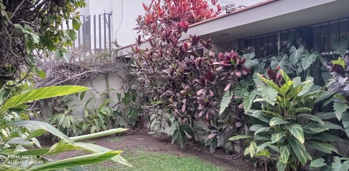 OCASION CASA EN CHACARILLA SAN BORJA UBICACION ESTRATEGICA - 1