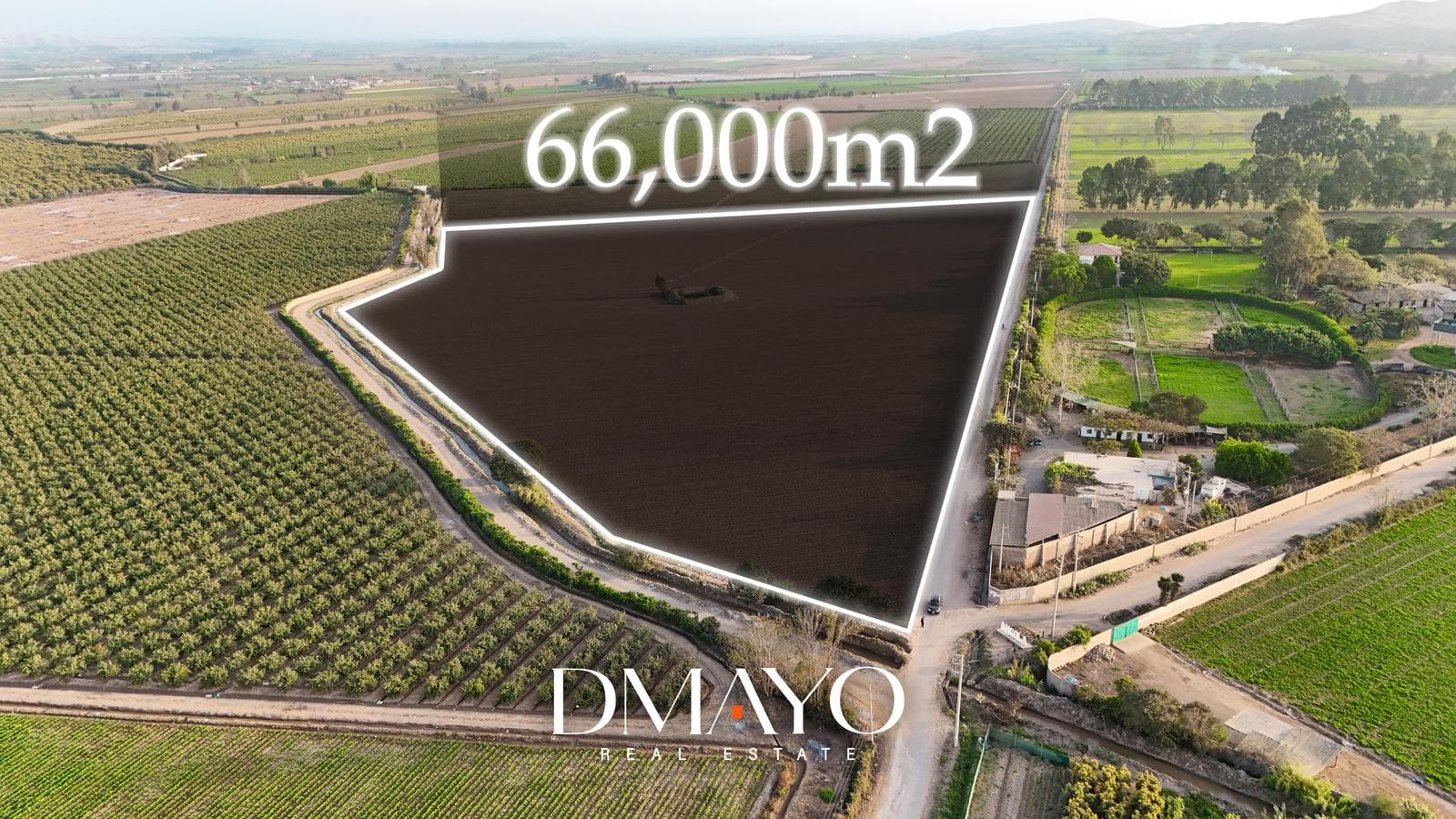 Se vende terreno de 6.6 Hectáreas en Quilmana Cañete - 1