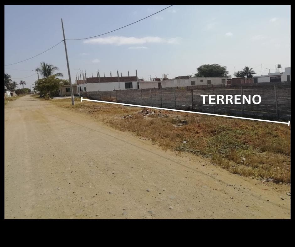 Terreno en Colan - 1