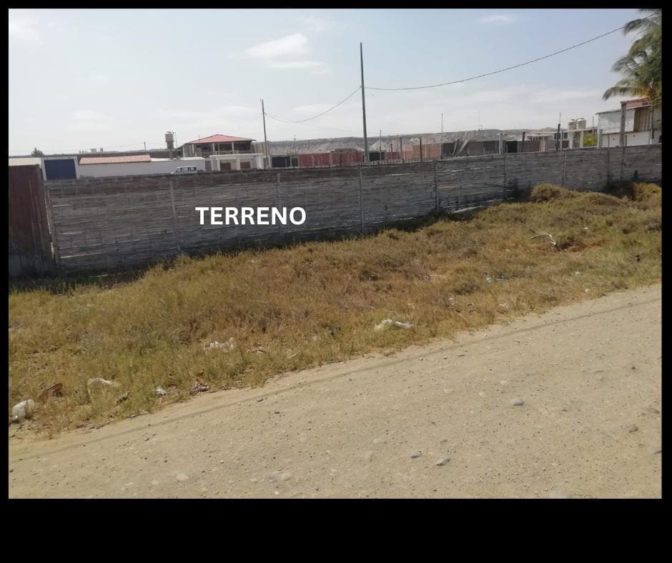 Terreno en Colan - 2