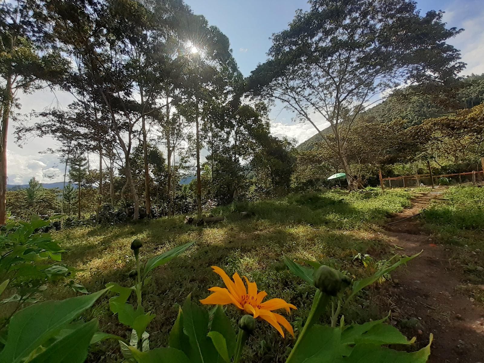 Gran Oportunidad De Inversión Turística En Oxapampa Casa Principal Y 3 Cabañas En 1 Hectárea - 2