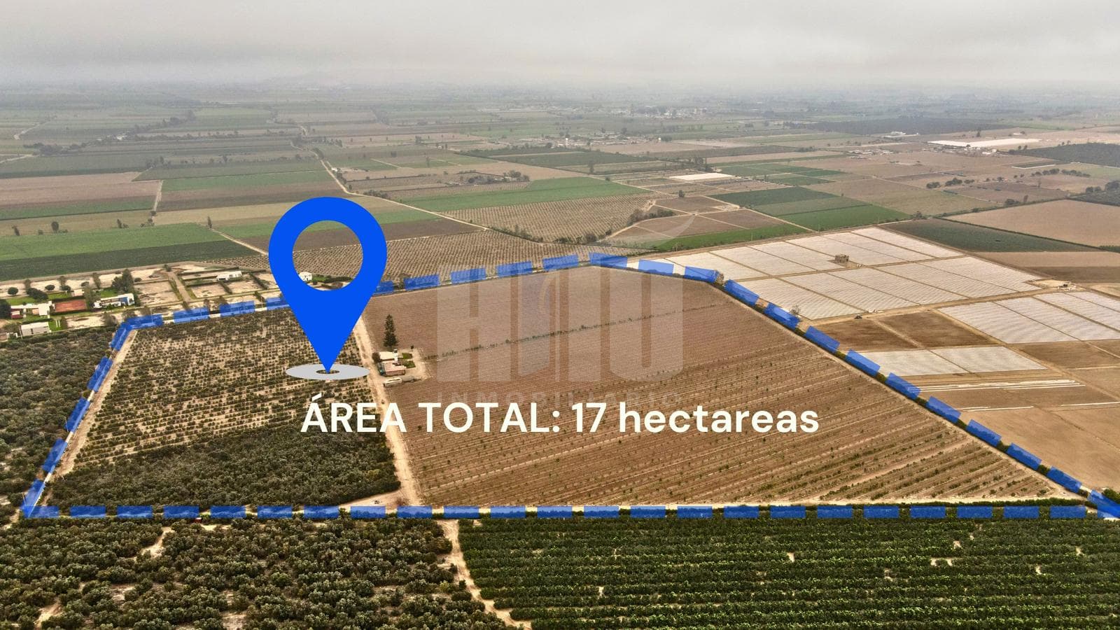 Ideal para producción de vinos, piscos, agroexportación o desarrollo residencial - 1