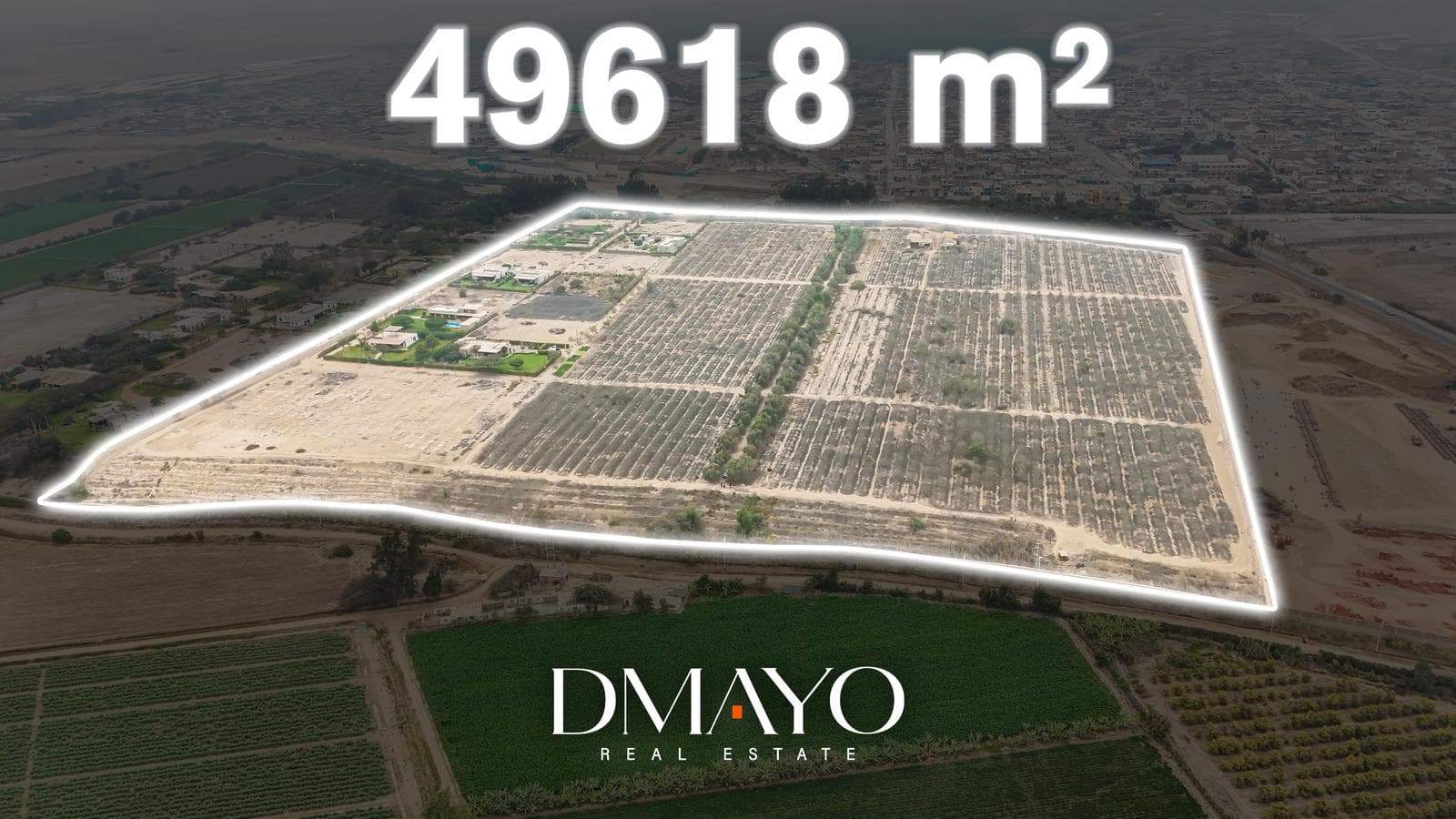 Se Vende Terreno cercado para lotizar de 4.96 Hectáreas en Chincha. - 1