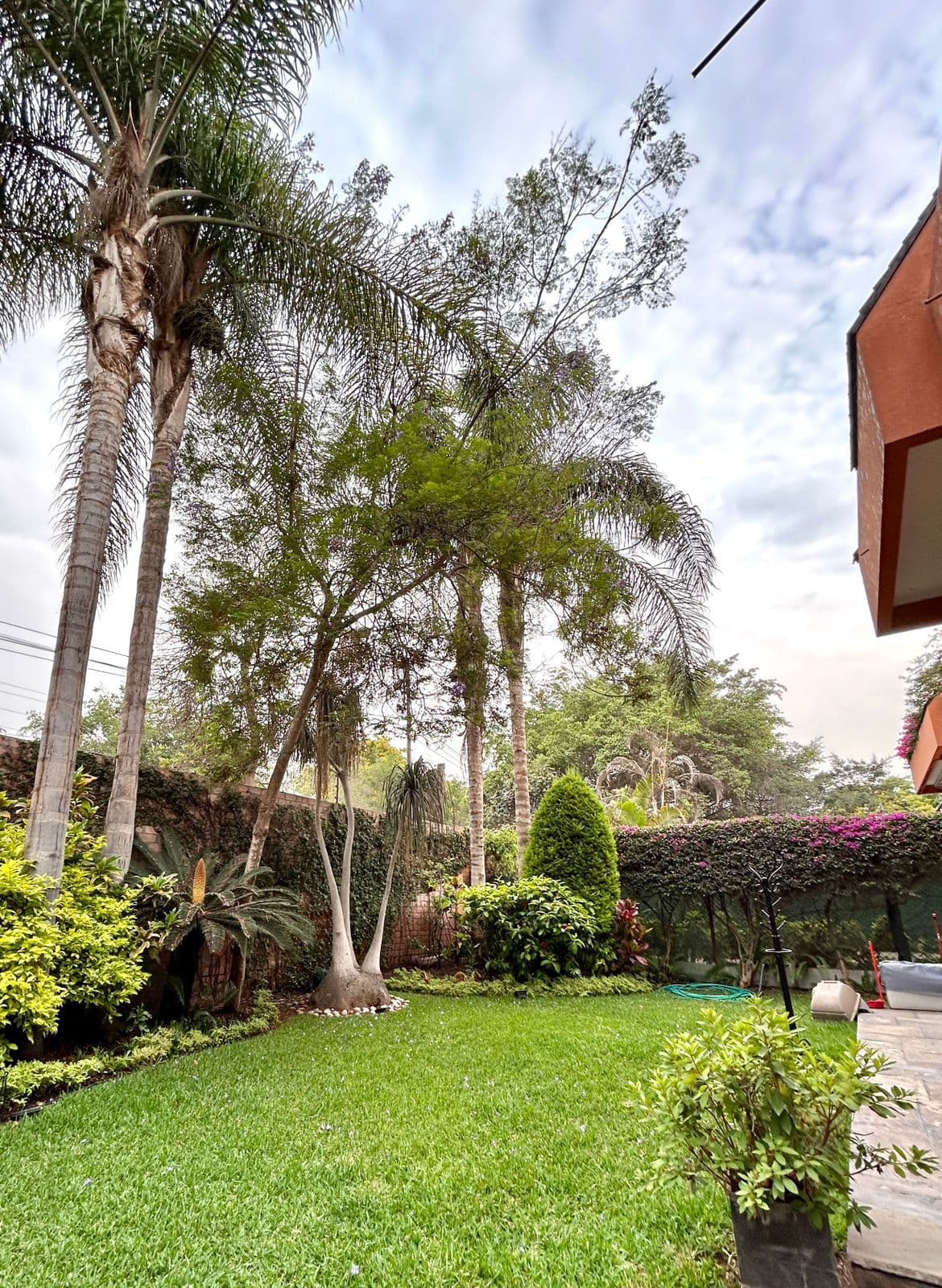 Departamento - La Molina - 2