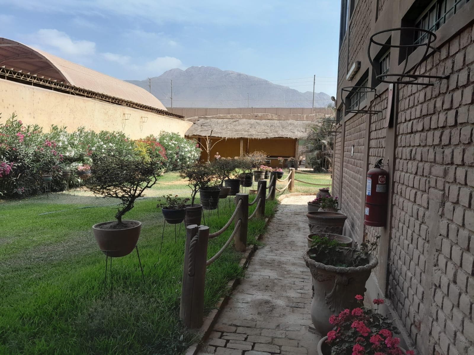 Edificio Comercial en Chosica (Lurigancho) - 2