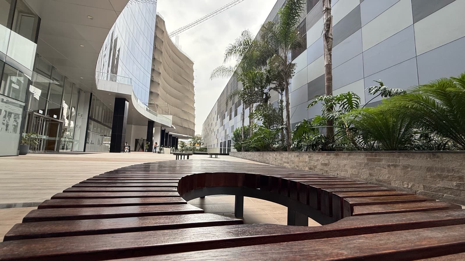 ALQUILER DE OFICINAS EN EDIFICIO MORE SANTIAGO DE SURCO - 2