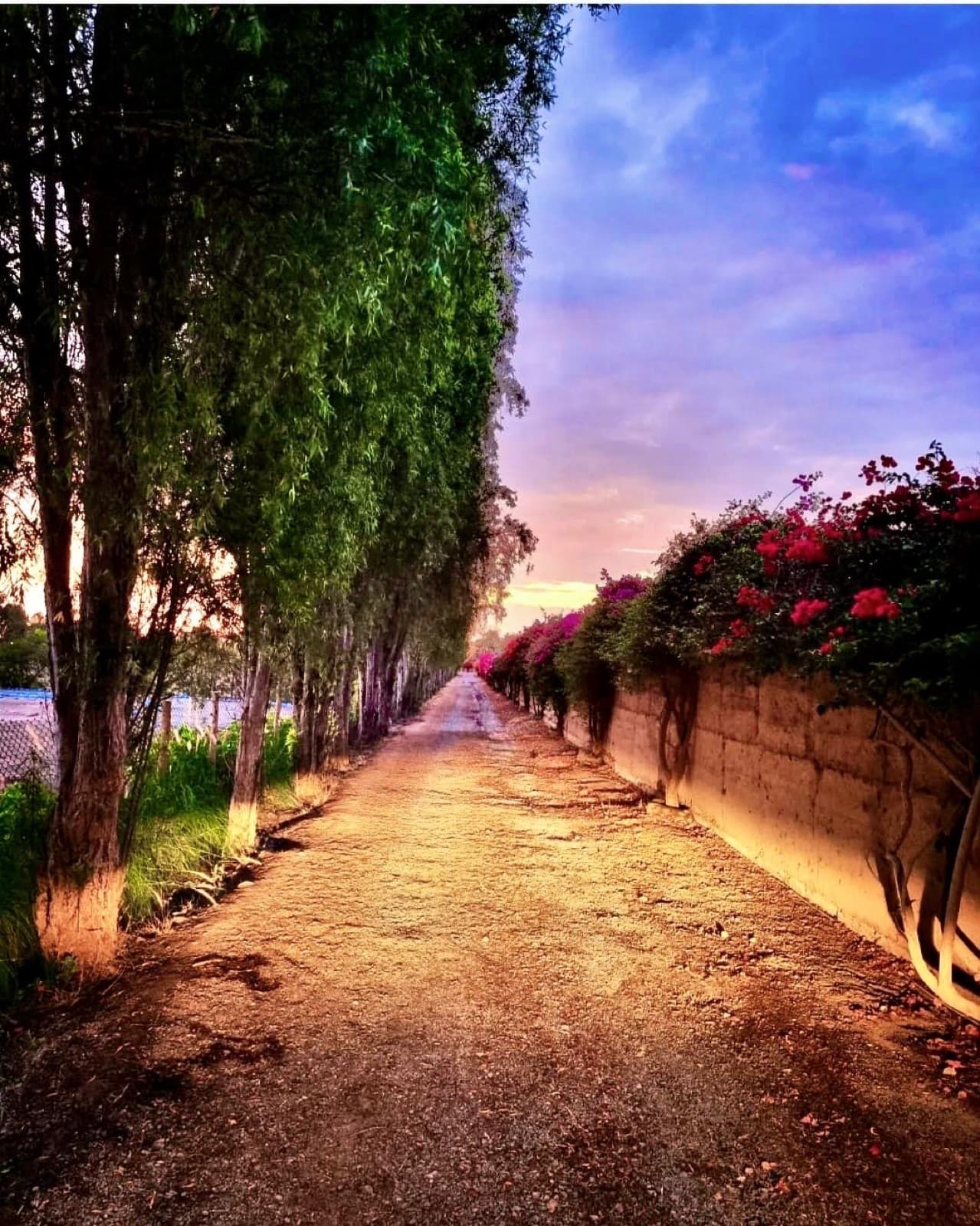 Casa - El Carmen - 1