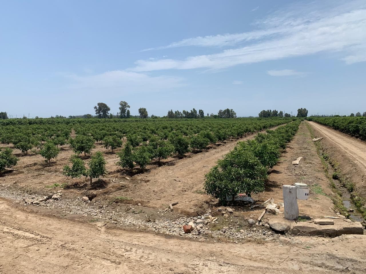 Terreno a la Venta en Cañete - 1
