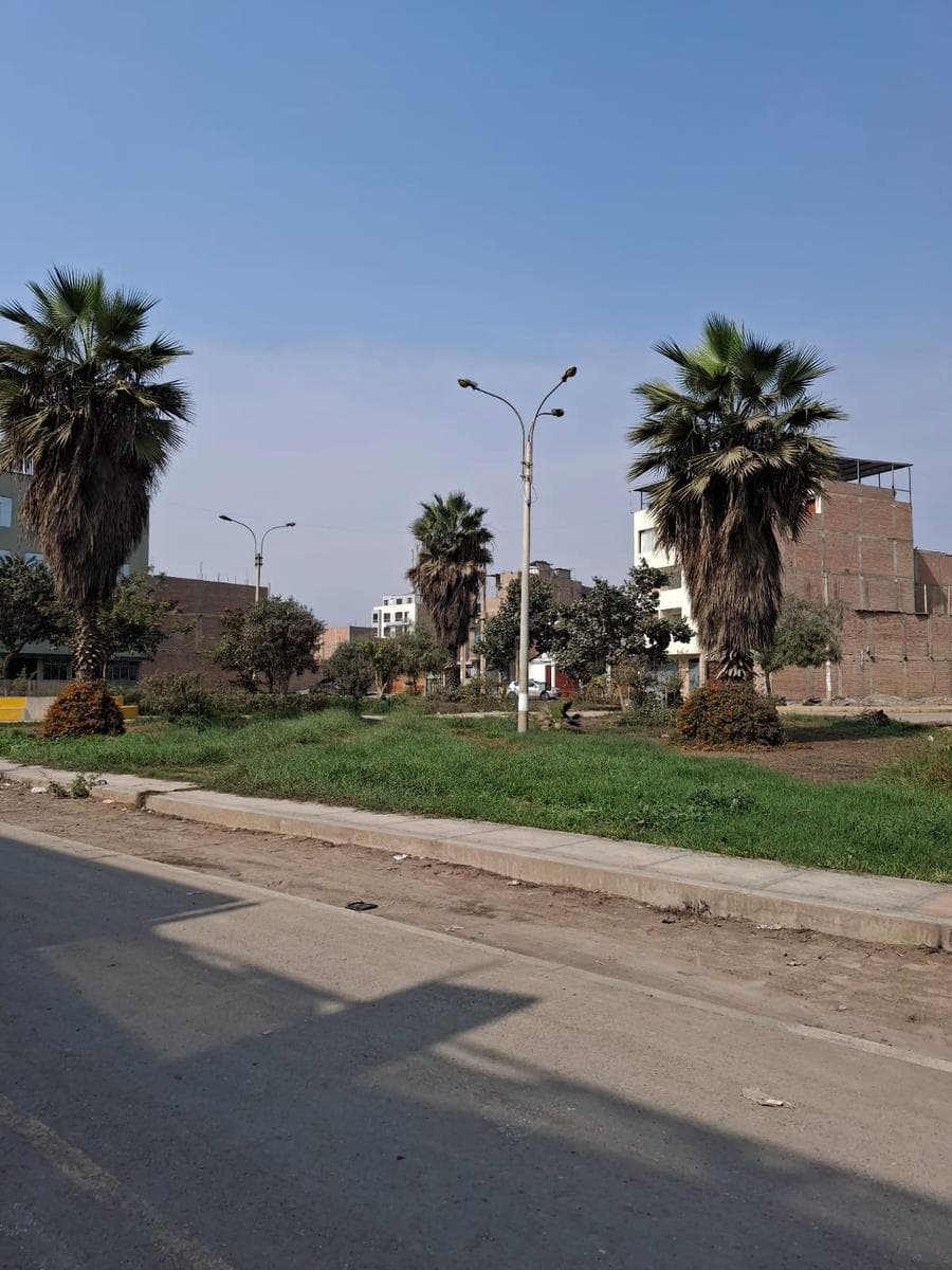 VENTA DE TERRENO EN URB SAN ANTONIO DE CARABAYLLO 2 - 1