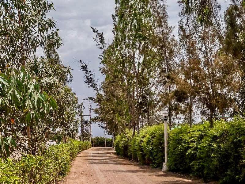 Terreno En Venta – Condominio Privado “El Sueño” - 1