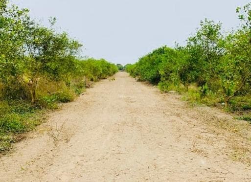 Ocasión Se Vende Terreno Para Casa De Campo En Chincha Baja - 2