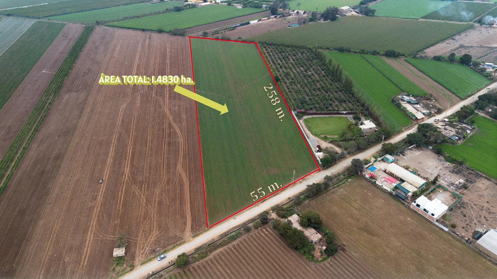 Terreno en Venta 1.5 hectáreas en Quilmaná - Cañete - 1