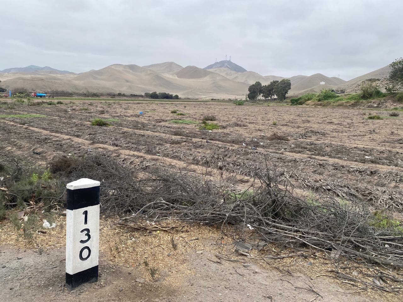 Terreno a la Venta en Cerro Azul - Los Lobos - 1