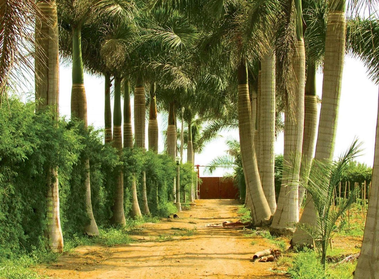 Tu Espacio Soñado A Solo 20 Minutos De Asia - 1