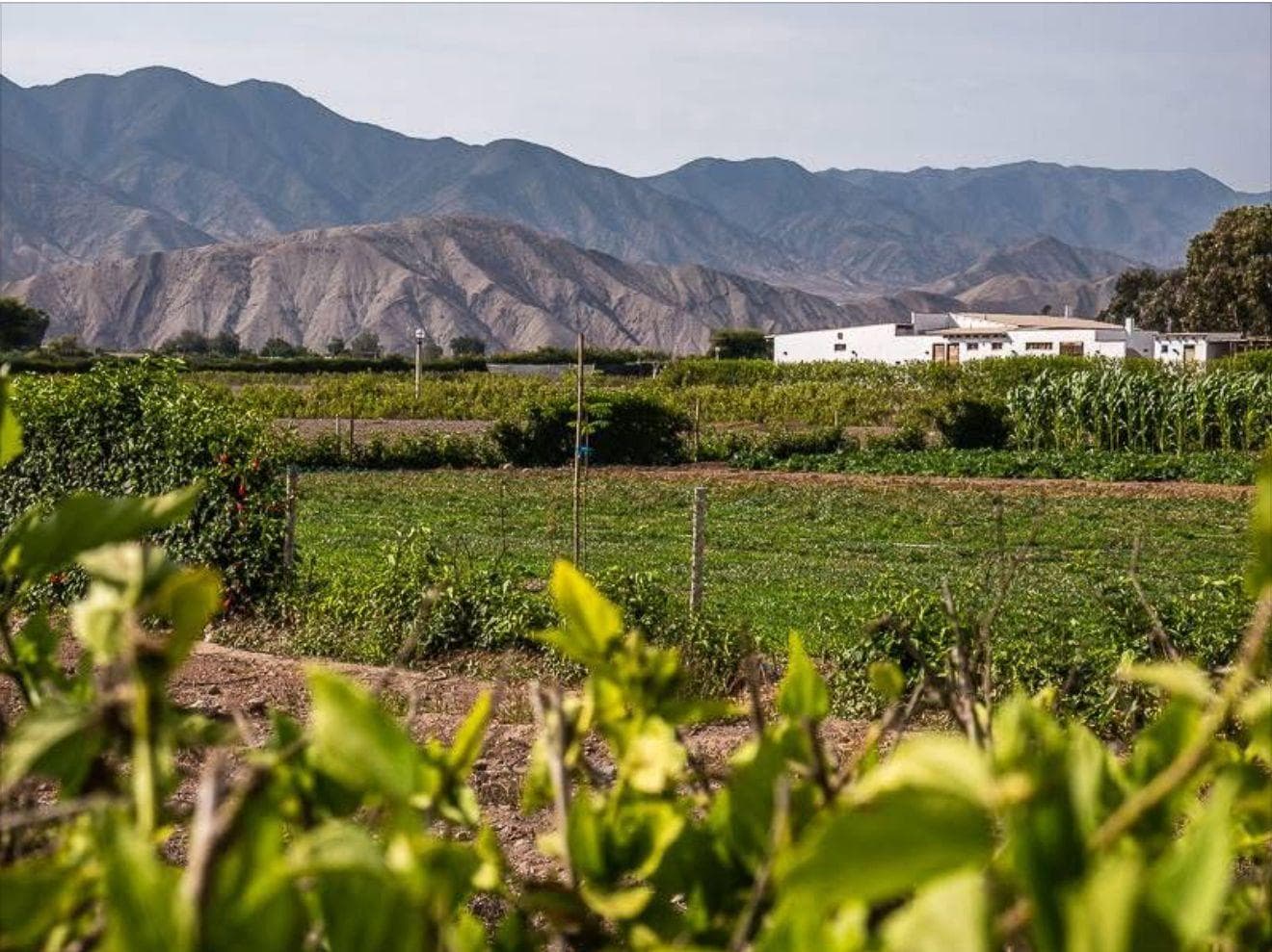 Tu Espacio Soñado A Solo 20 Minutos De Asia - 1