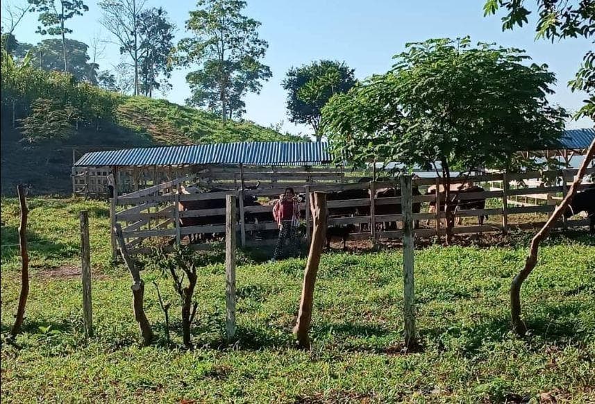 Terreno a la Venta en Yurimaguas - 1