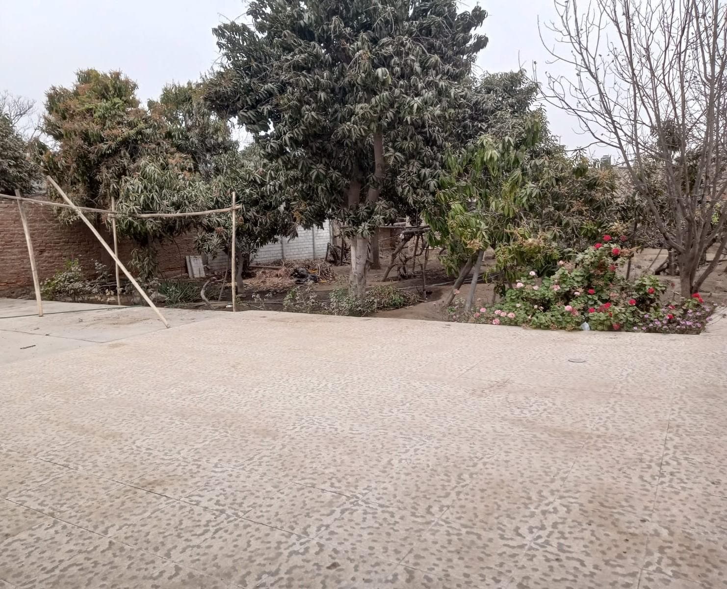 Casa como terreno en Ica - 1