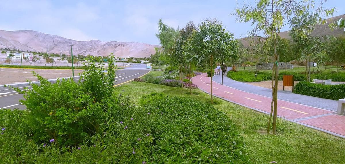 Terreno - CAÑETE - 1