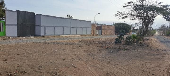 Chilca gran oportunidad de inversión 5225 m2 en papa león av, las palmeras cañete - 2