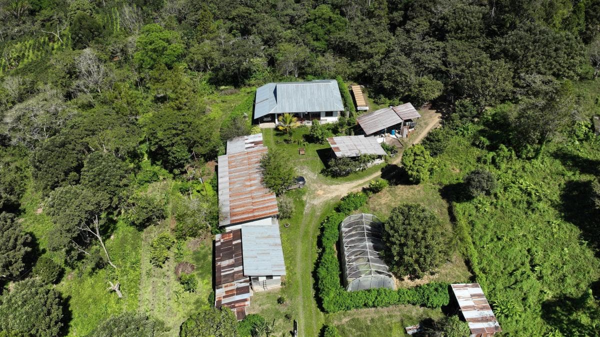 Venta Finca Cafetalera en el valle del Entáz– Villa Rica - 1