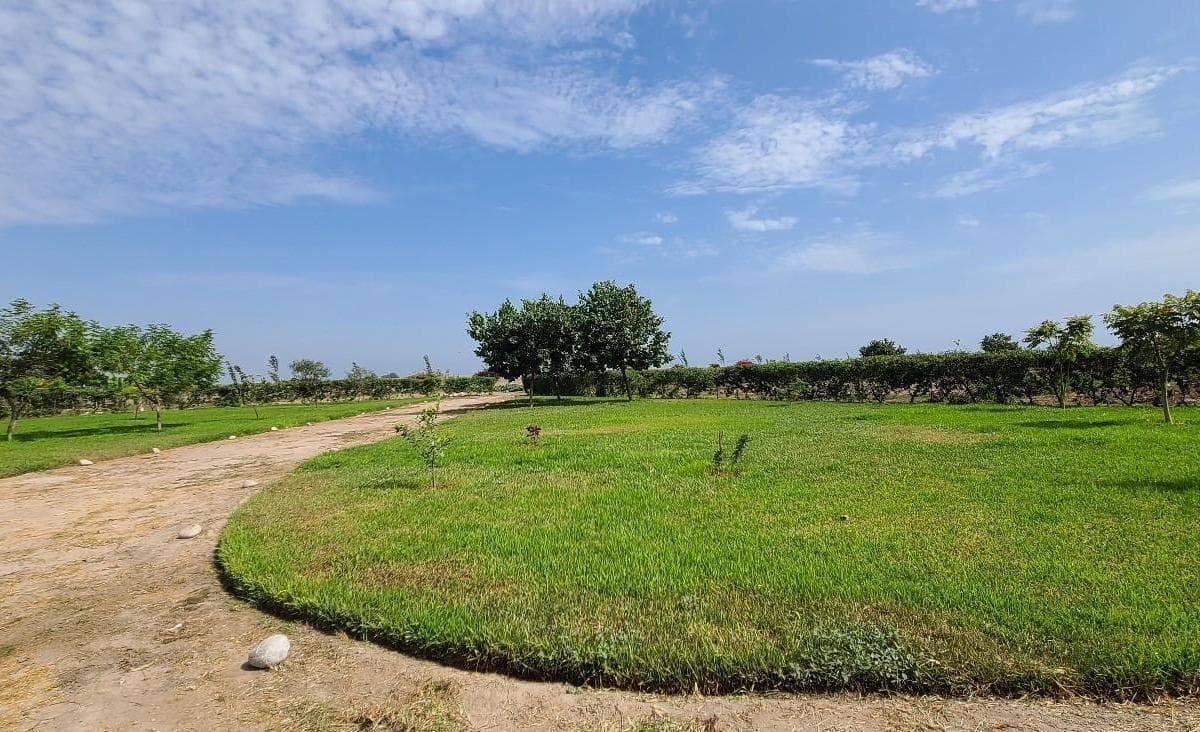 CHINCHA - VENTA DE FUNDO 50,000 m² INVERSION DESARROLLO INMOBILIARIO - 1