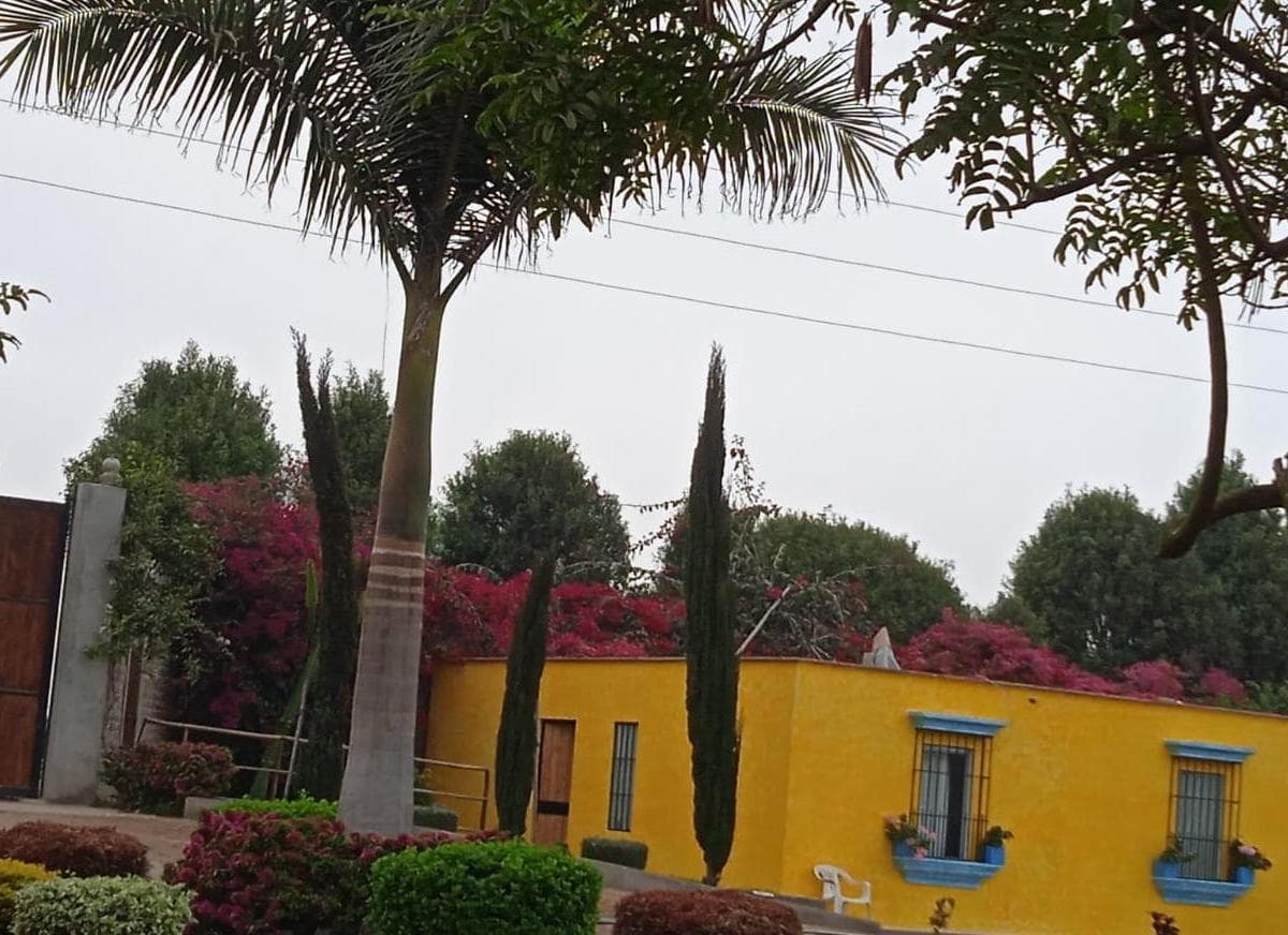 CHINCHA - VENTA DE FUNDO 50,000 m² INVERSION DESARROLLO INMOBILIARIO - 2