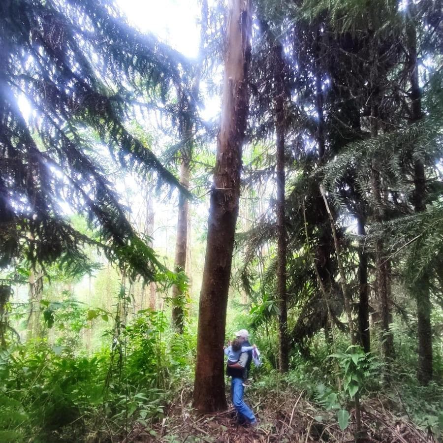 Venta Terreno 56.06 Hectareas Sector Santa Cruz - Provincia Oxapampa - 1