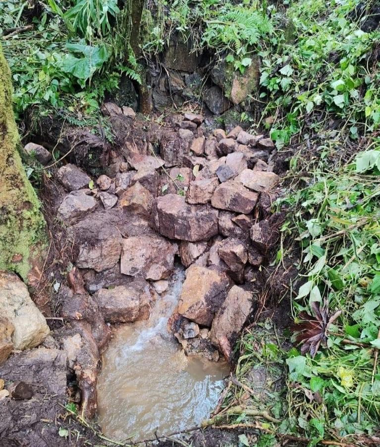 Venta Terreno 56.06 Hectareas Sector Santa Cruz - Provincia Oxapampa - 2