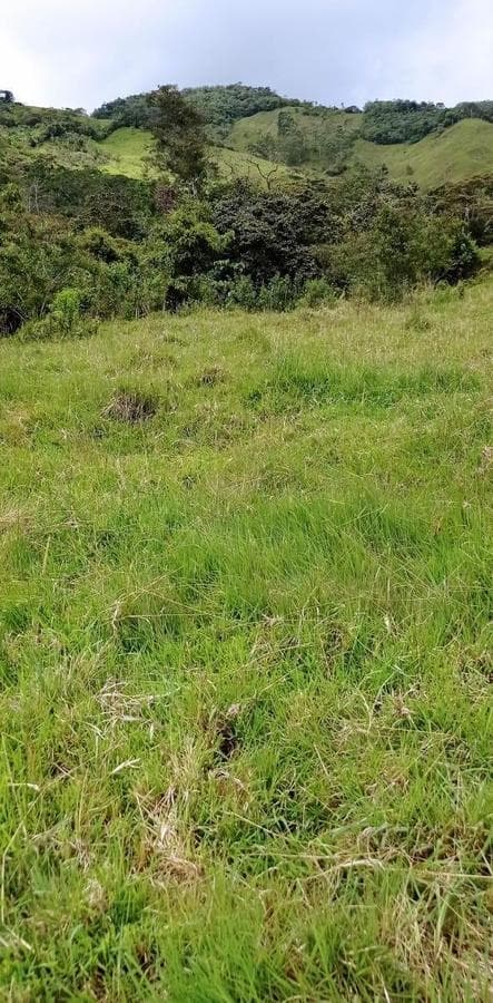 En venta – Amplio terreno en esquina Grapanazú, Oxapampa - 1