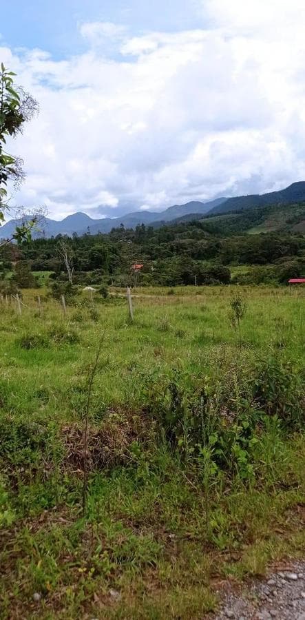 En venta – Amplio terreno en esquina Grapanazú, Oxapampa - 2