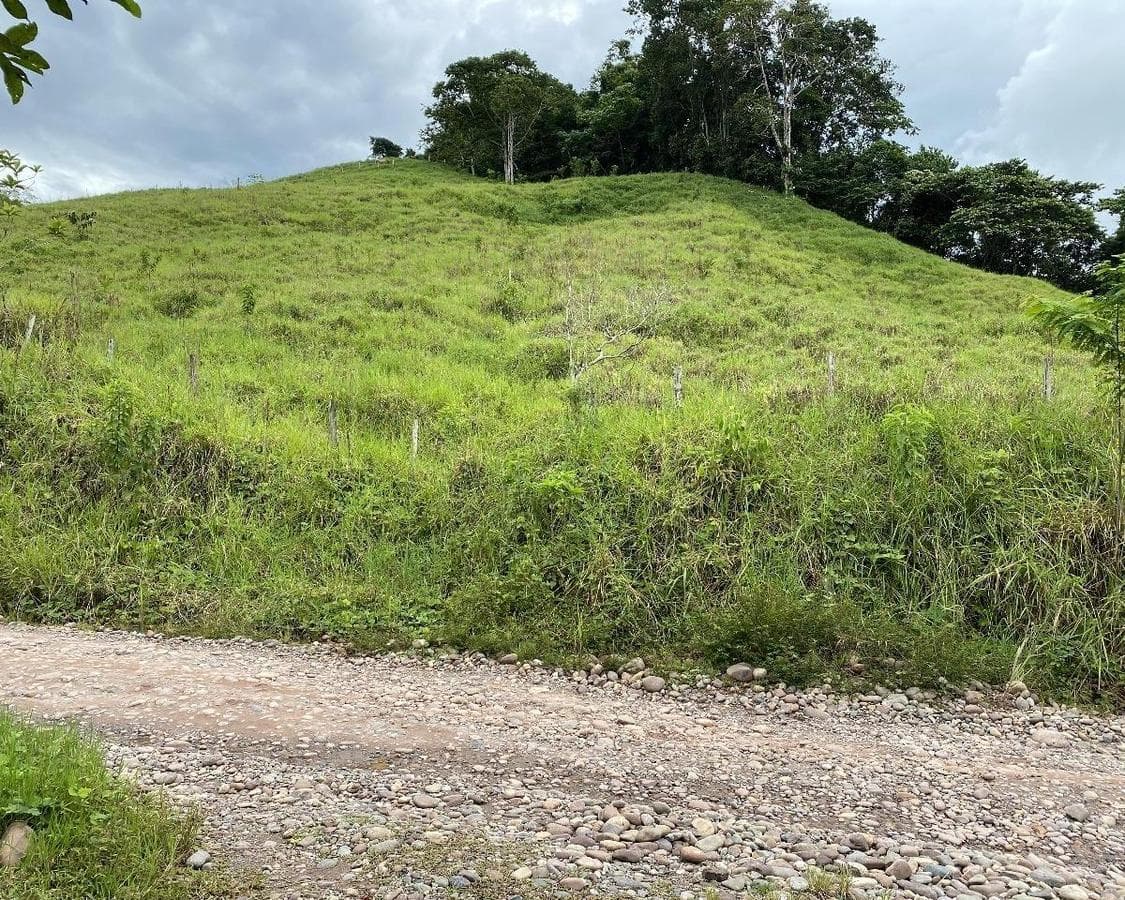 Vendo terreo 94.6 HAS Nuevo Progreso – Iscozacin – Oxapampa – Cerro de Pasco - 2