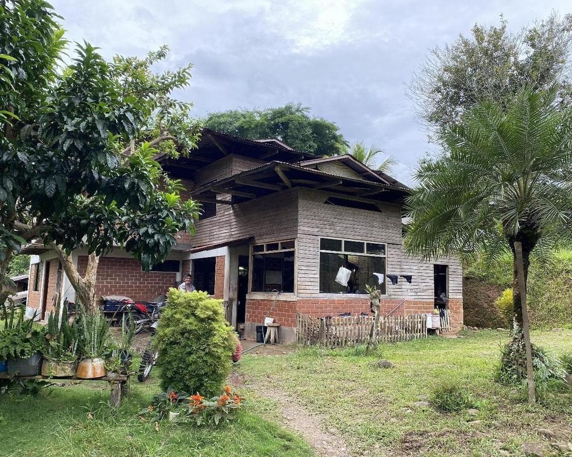 Vendo terreo 94.6 HAS Nuevo Progreso – Iscozacin – Oxapampa – Cerro de Pasco - 1