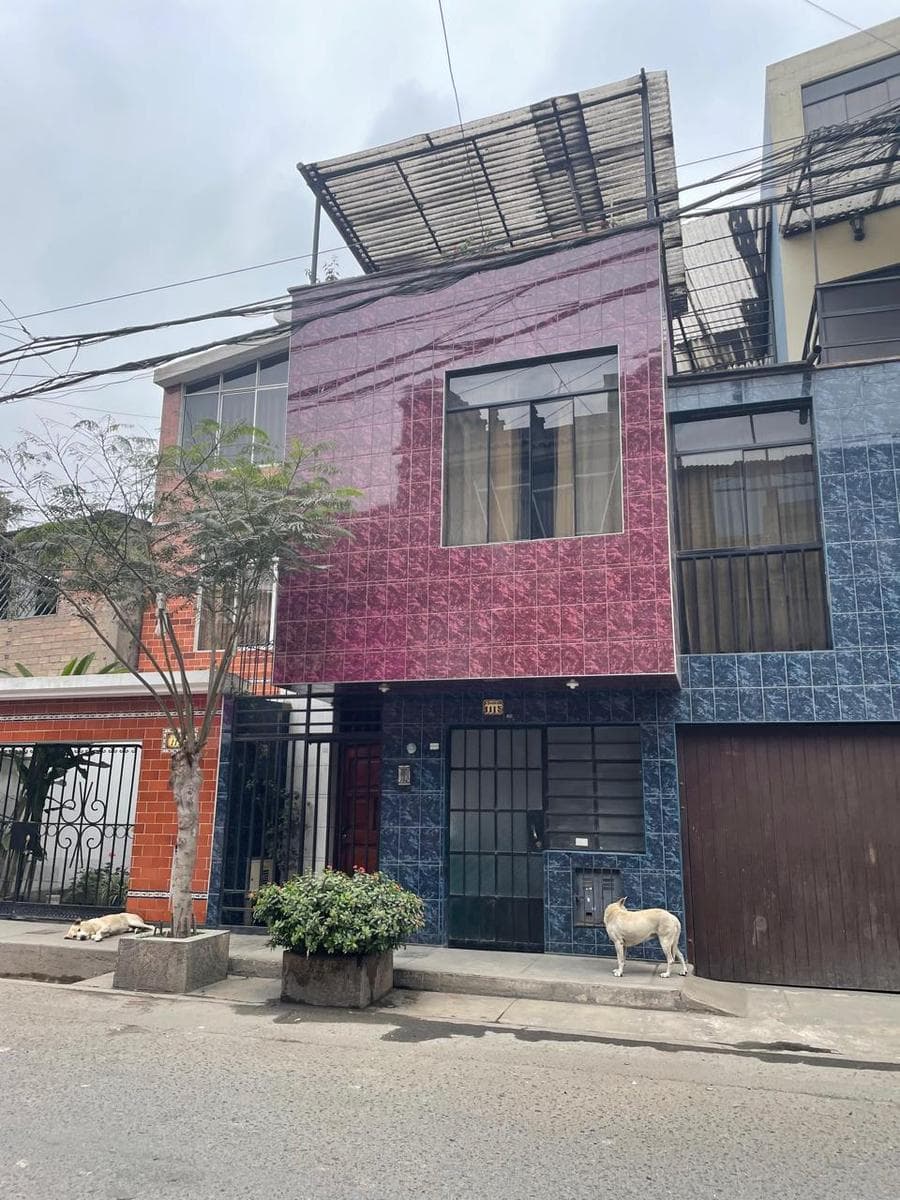 SE VENDE DEPARTAMENTO TRIPLEX EN EL AGUSTINO - 1