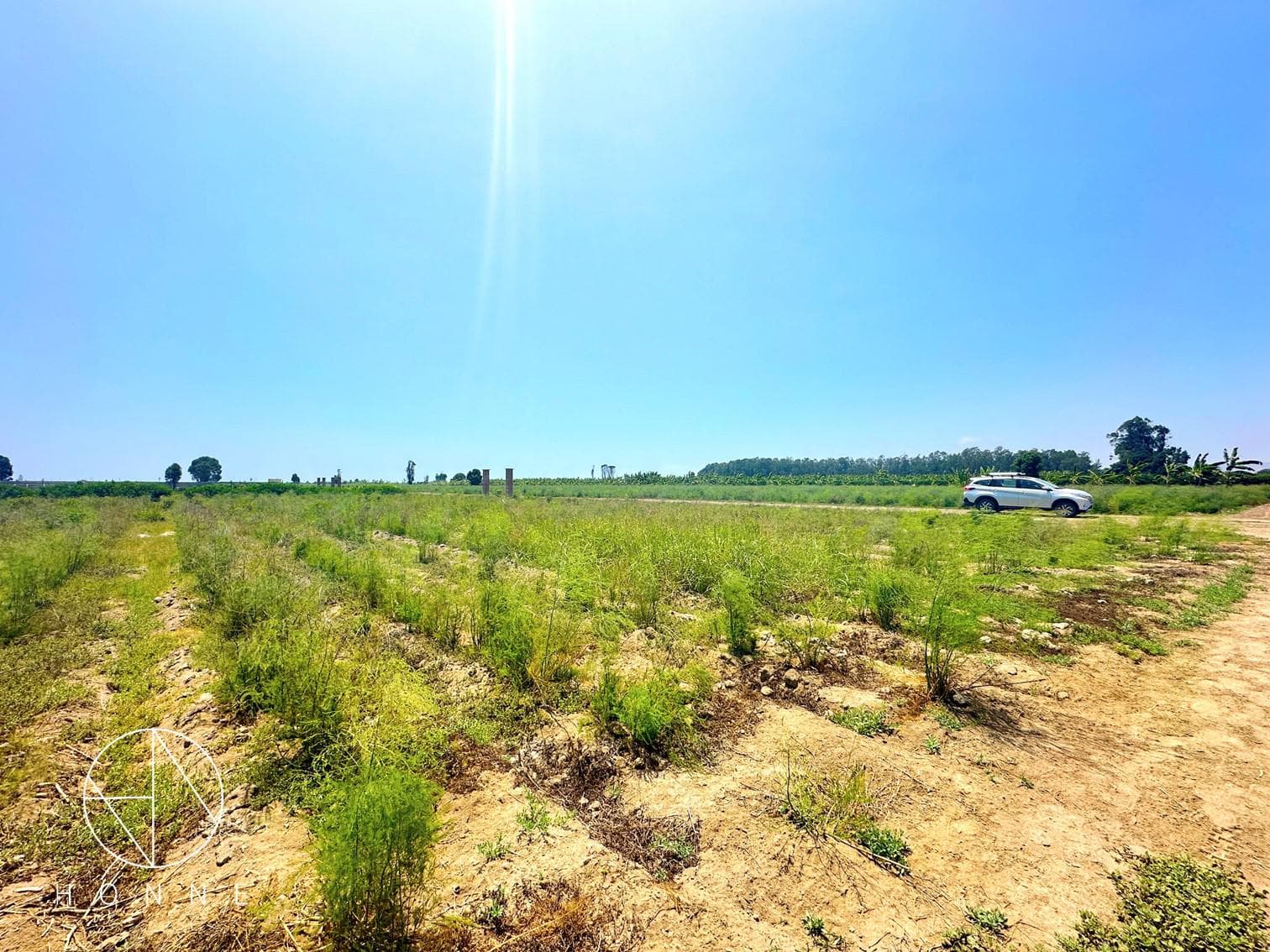 Terreno en SAN VICENTE DE CAÑETE - 1