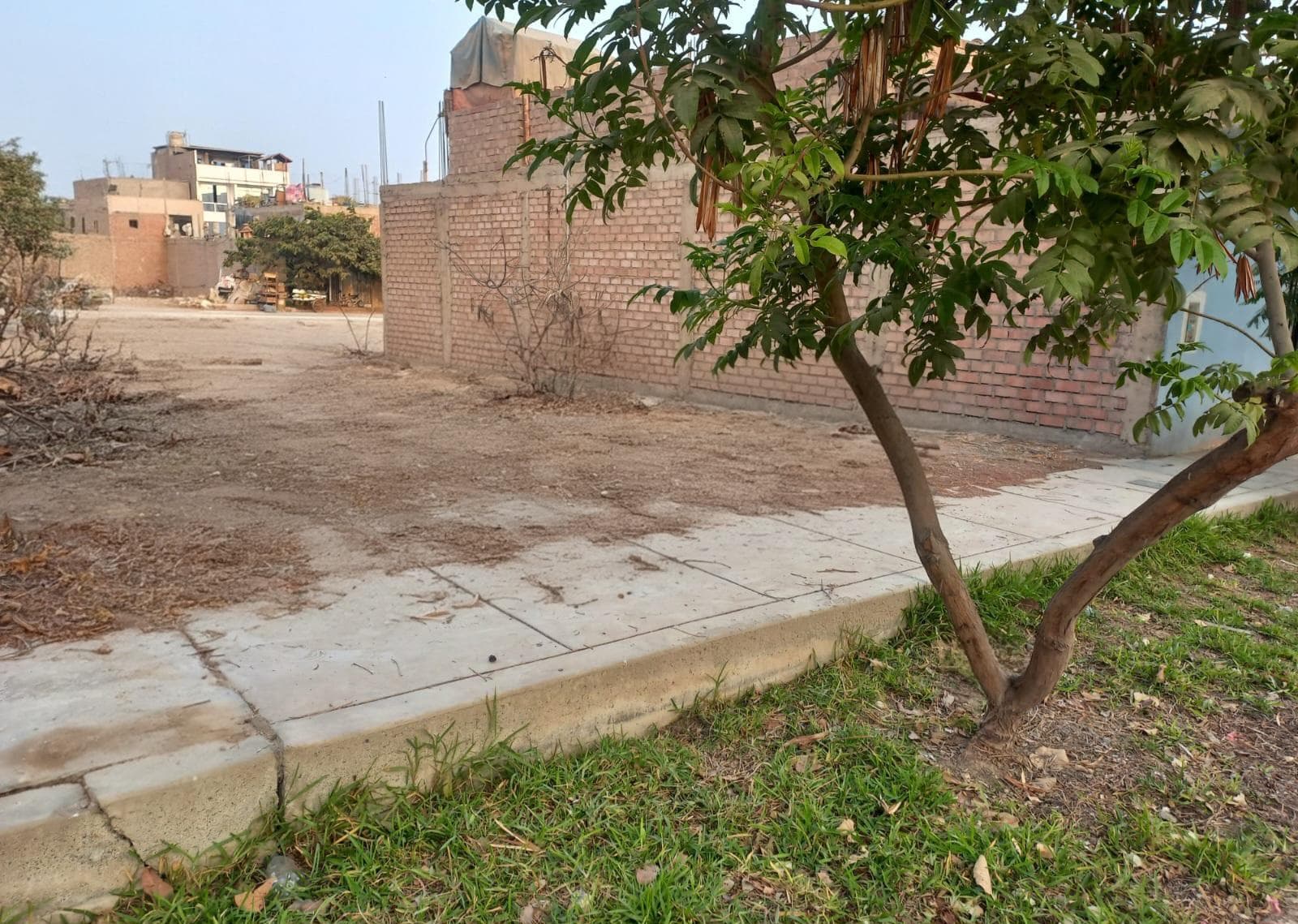 Terreno en venta Carabayllo - 1