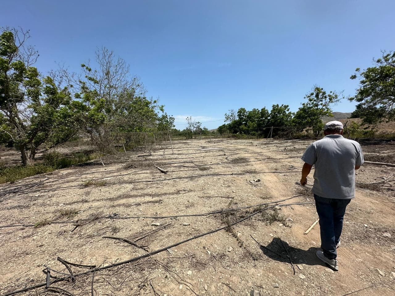 Vendo Fundo con Terreno Agricola en Fundo Huando, Predio Granados, Huaral - 1