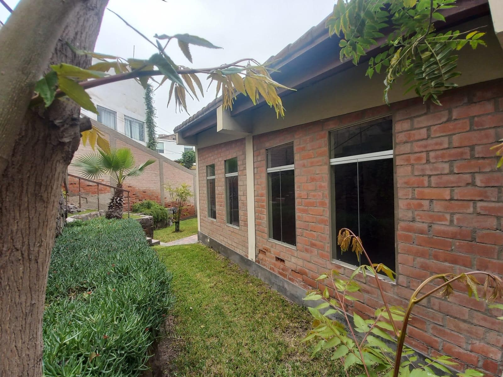 Oportunidad venta de casa en Casuarinas Sur Santiago de Surco - 1