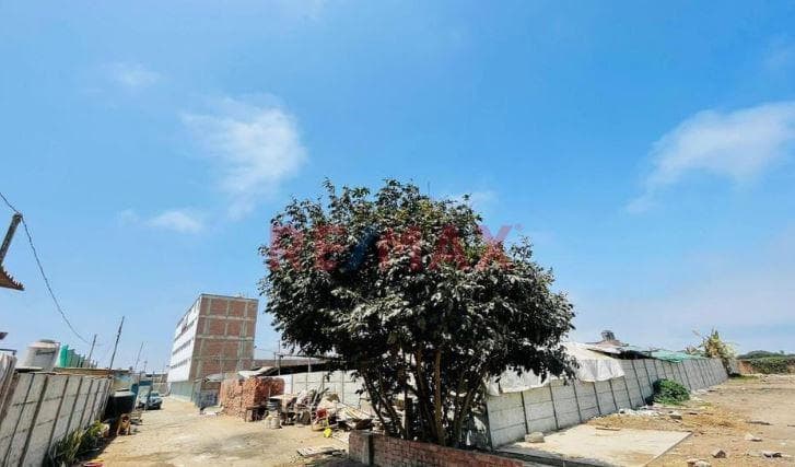 Vendo Amplio Terreno En Lurin, Ideal Para Proyecto Industrial, Familiar O De Inversión - 1