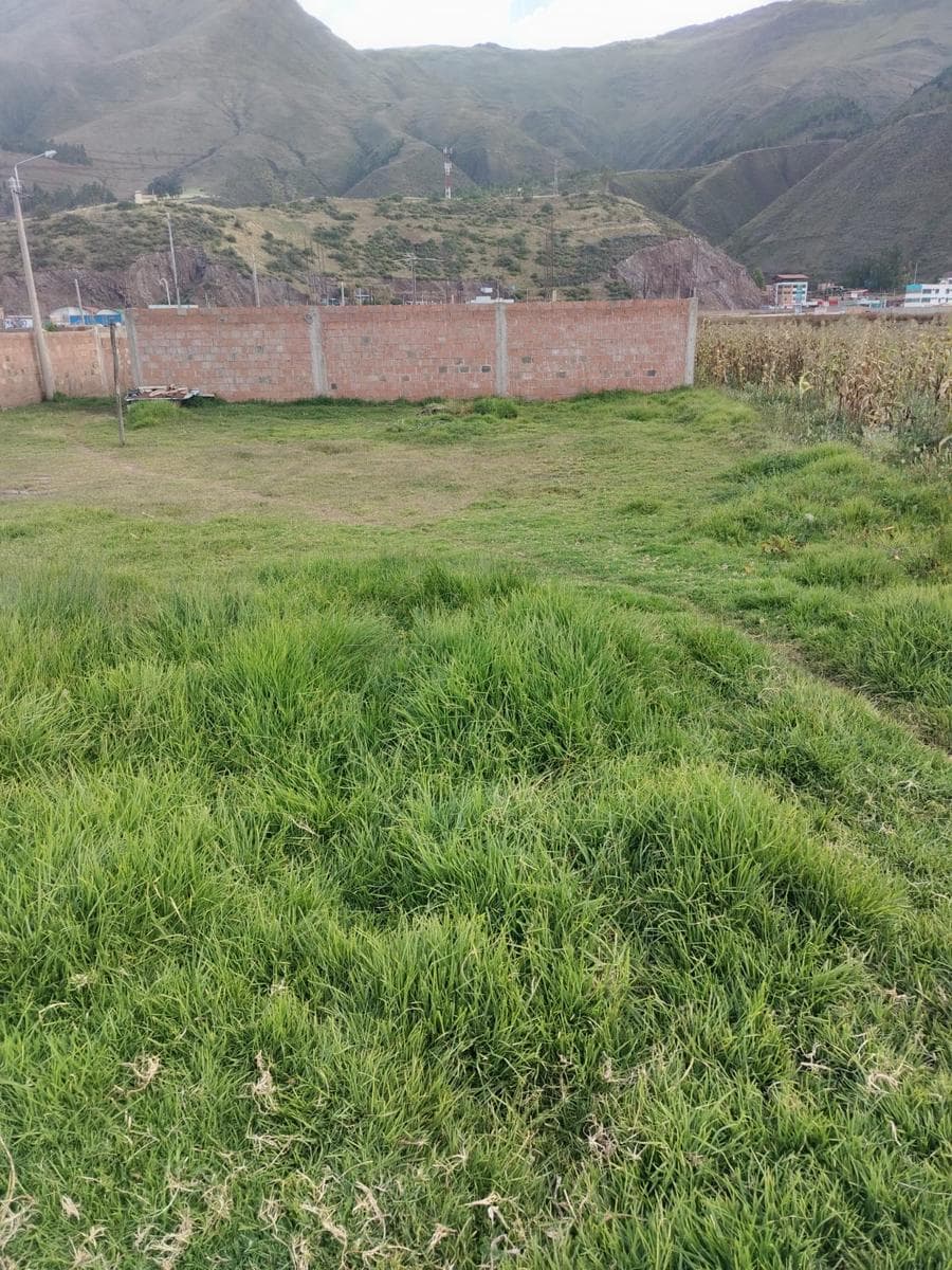 TERRENO MUY CERCA A LA CARRETERA ANTIGUA TIPON - 1