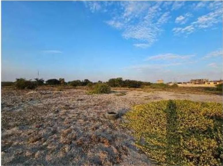 Oportunidad en Zona de Expansión Urbana – 4.4 Ha en Sector Mocce, Lambayeque - 1
