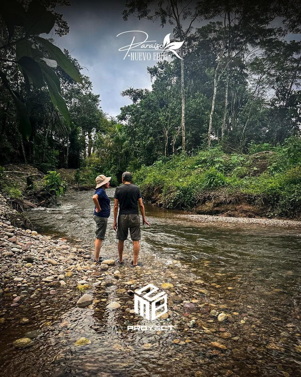 Tu lote en la zona austroalemana de Codo del Pozuzo. - 1