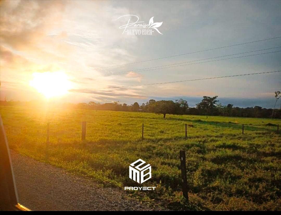 Aprovecha la preventa en la zona austroalemana de Codo del Pozuzo - 2