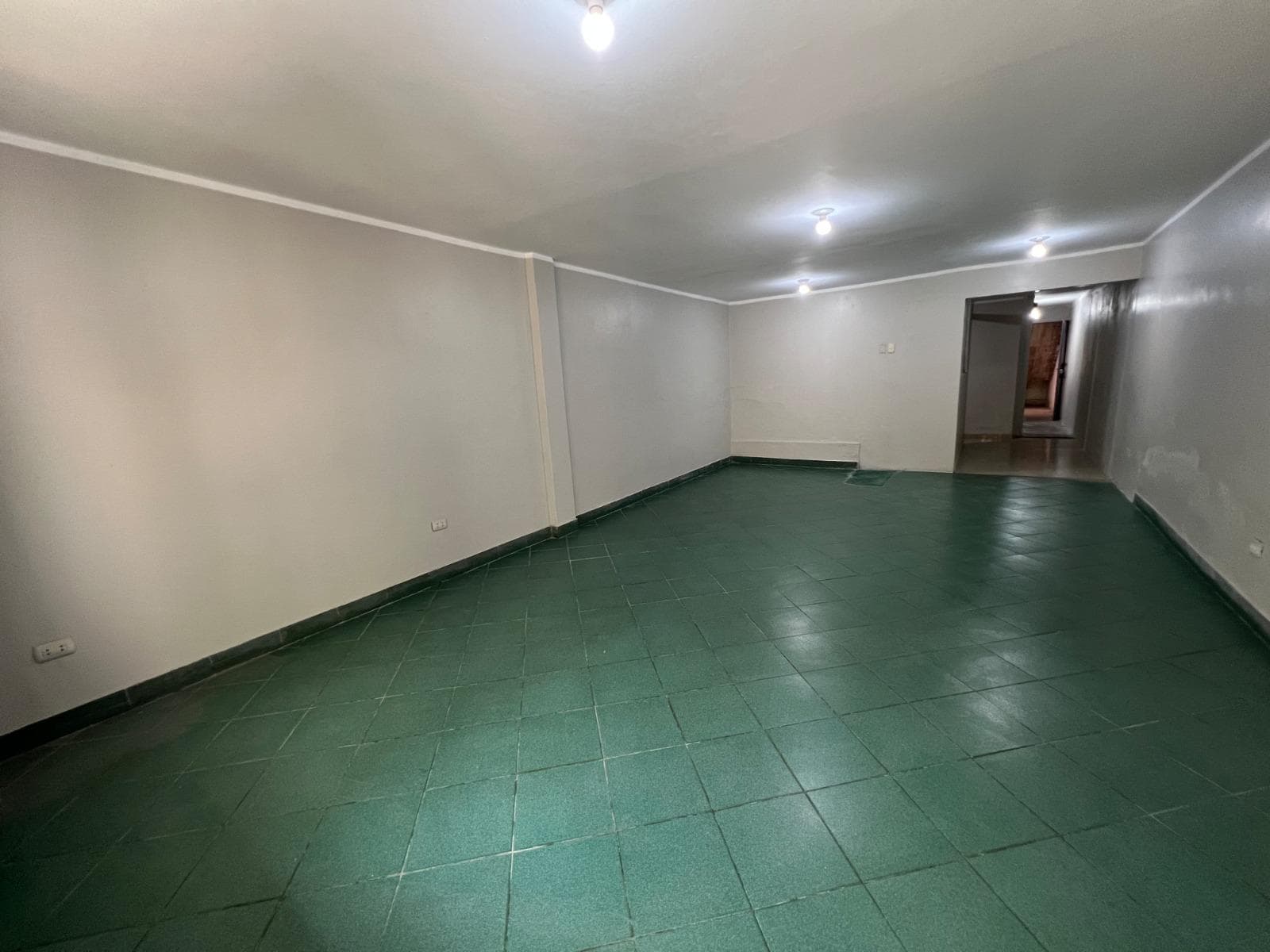VENTA DE DEPARTAMENTO EN SAN JUAN DE MIRAFLORES - 1