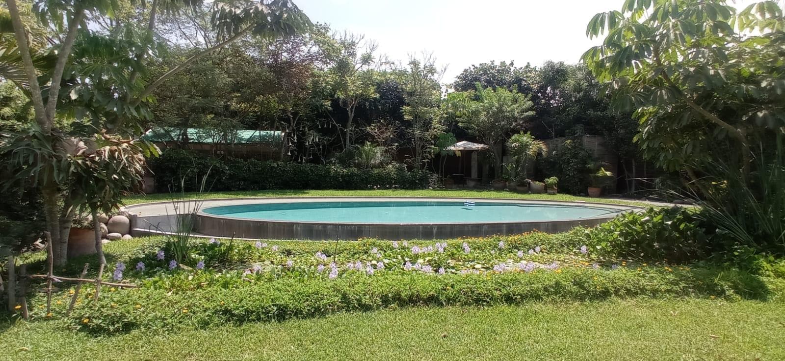 ¡ Exclusiva Casa De Campo En Urb. Jatosisa, Pachacámac – 2,900 M² De Pura Naturaleza! - 1