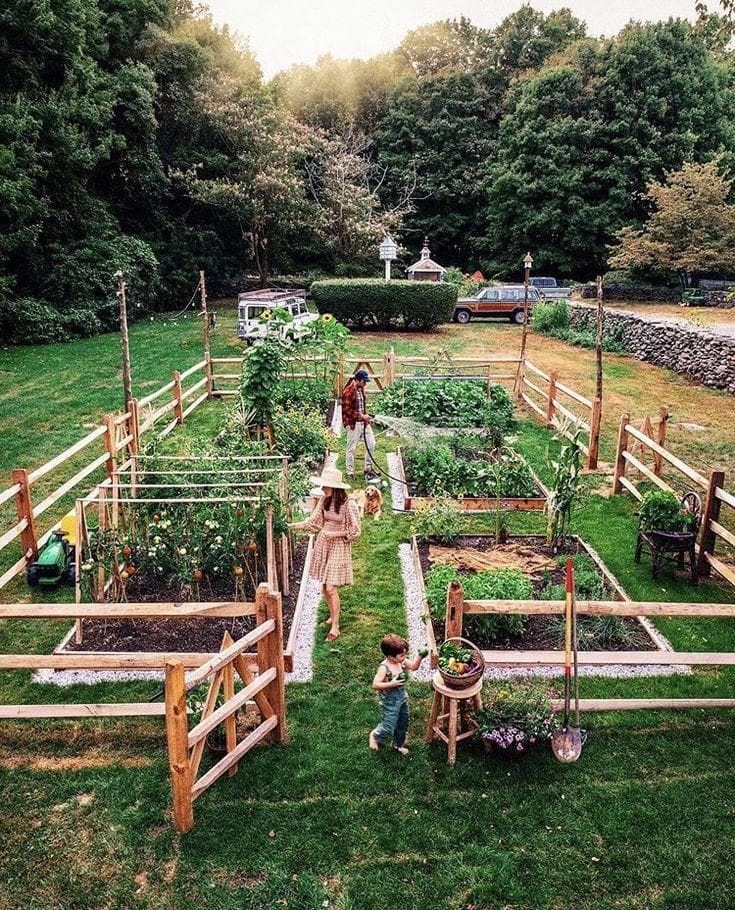 Adquiere Tu Lote Multipropósito y Aprovecha Todos Los Beneficios Que Tenemos Para Ti! - 2