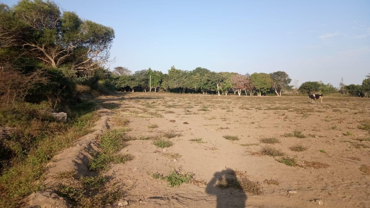 Terreno en Chiclayo - 1